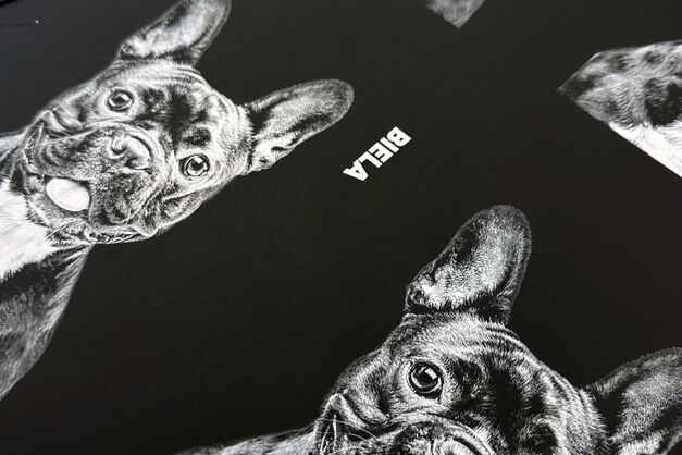 Biela farba na tmavom podklade